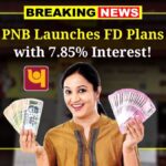 PNB New FD Schemes